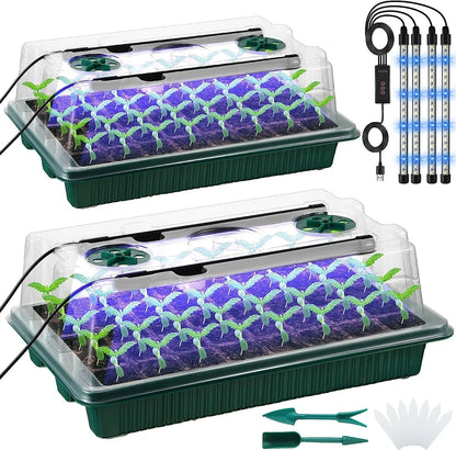 Seed starter trays with grow lights for indoor gardening and plant growth