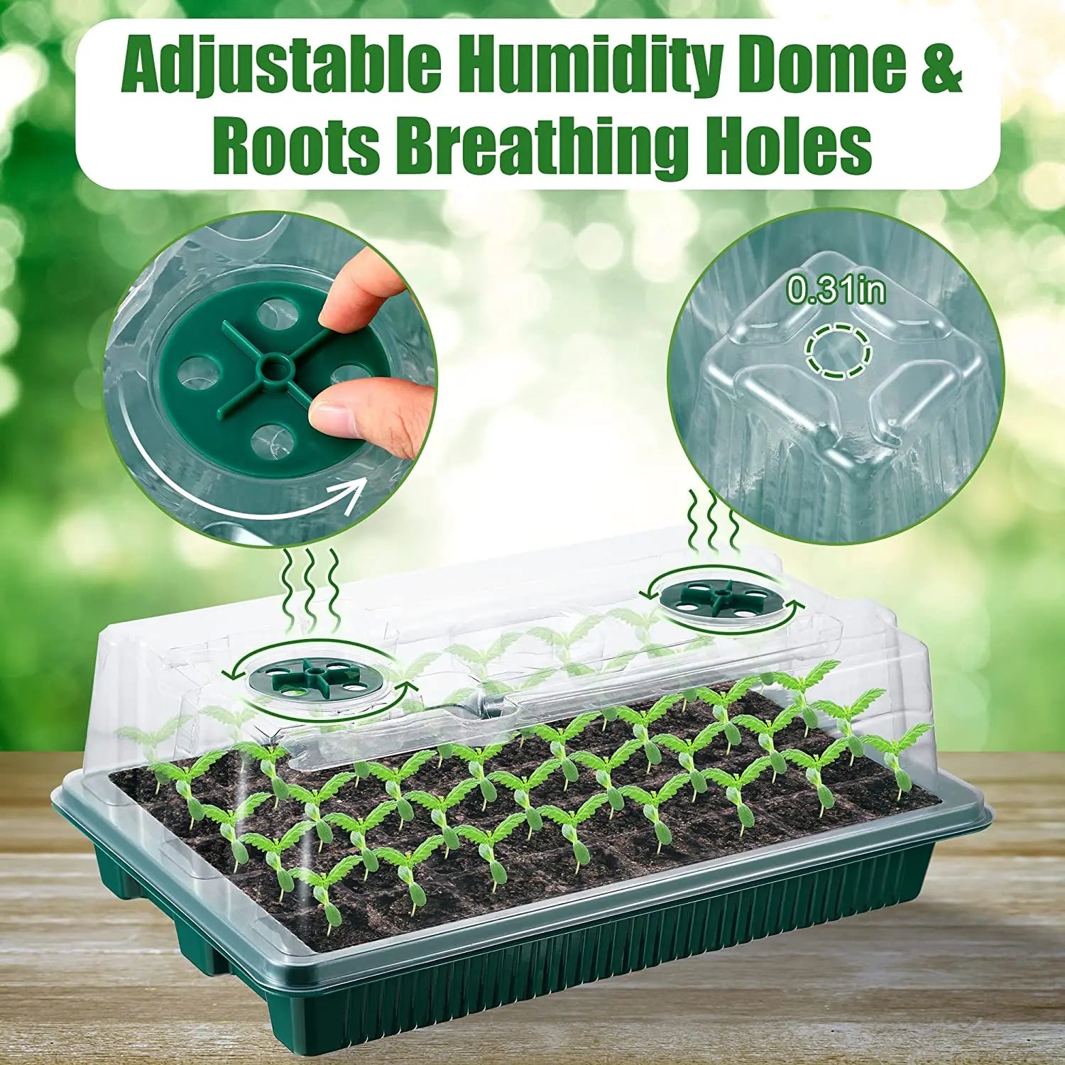 Seed starter trays with grow lights for indoor gardening and plant growth