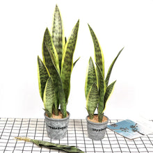 Set of realistic artificial succulent plants in decorative pots for indoor decor
