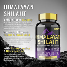 Himalayan Shilajit supplement