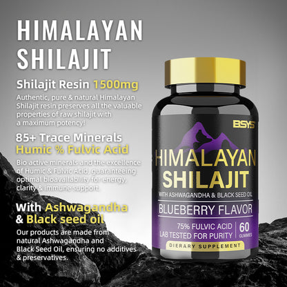 Himalayan Shilajit supplement