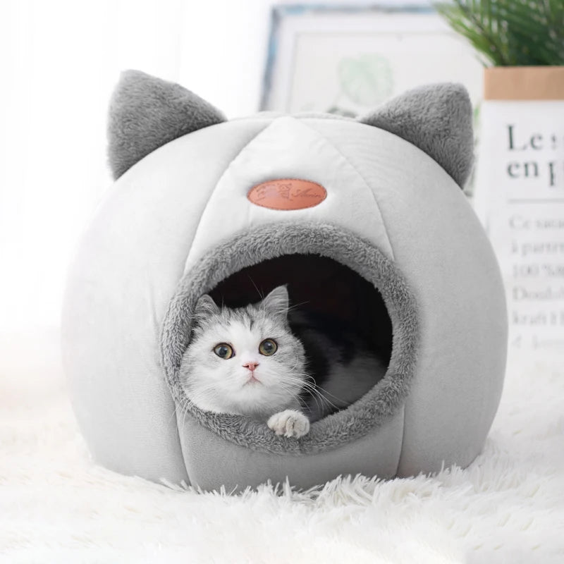 Small Dog House