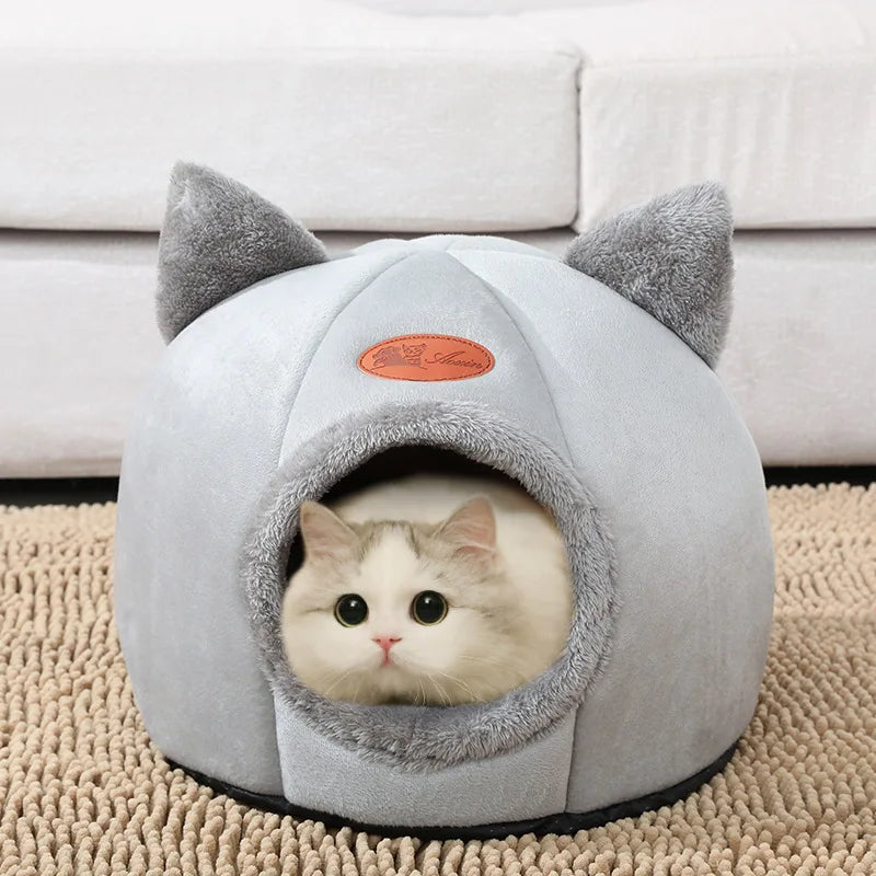 Small Dog House