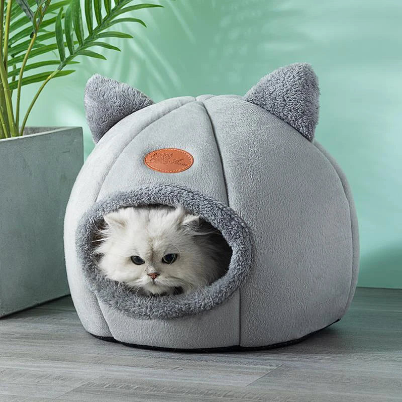 Small Dog House
