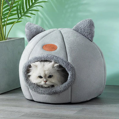 Small Dog House