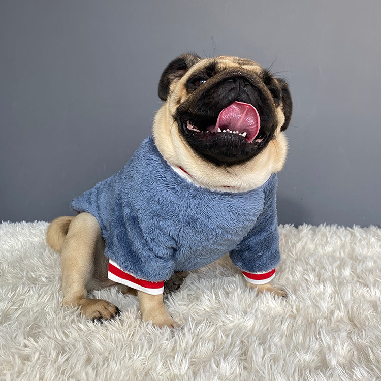 Small pet sweater