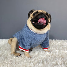 Small pet sweater