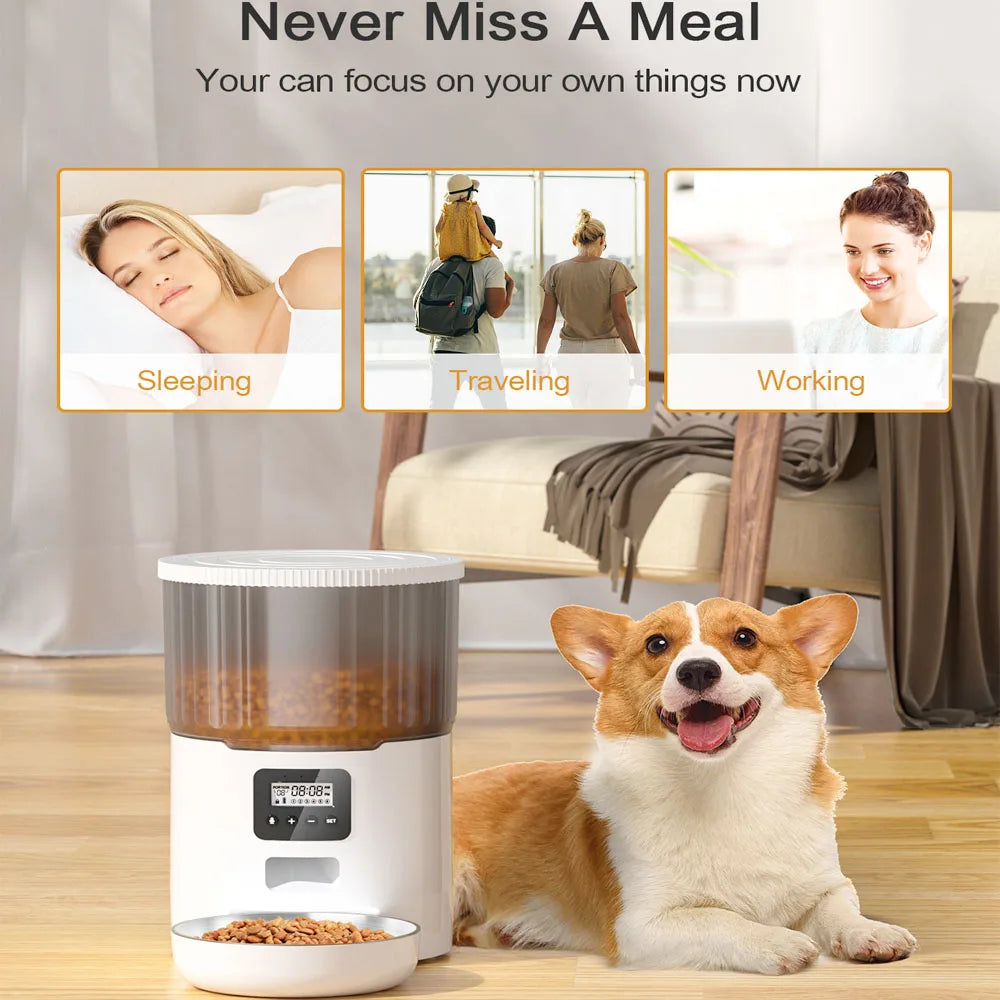 Smart automatic pet feeder with LCD display and battery operated for cats and dogs