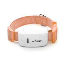 Smart cat locator