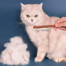 Stainless Steel Cat Hair Remover Comb – Deshedding Tool for Gentle Grooming