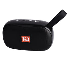 TG173 speaker device