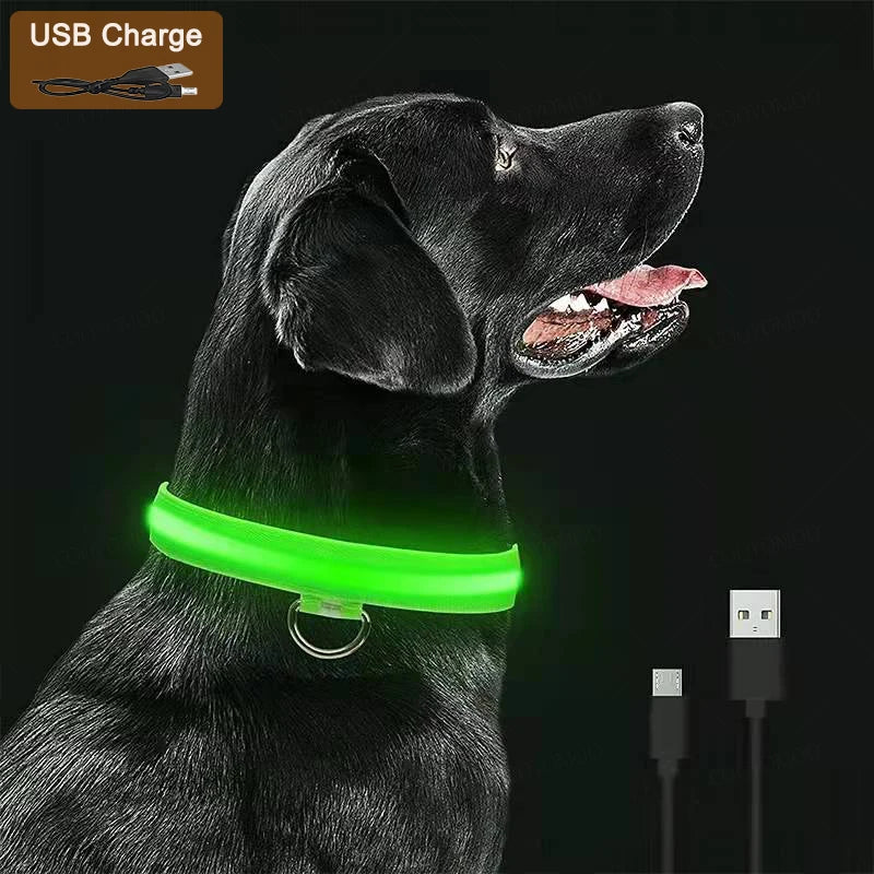 USB rechargeable LED dog collar glowing for nighttime safety and visibility