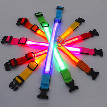 USB rechargeable LED dog collar glowing for nighttime safety and visibility