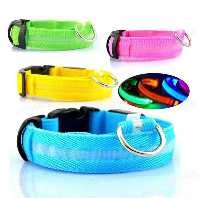 USB rechargeable LED dog collar glowing for nighttime safety and visibility