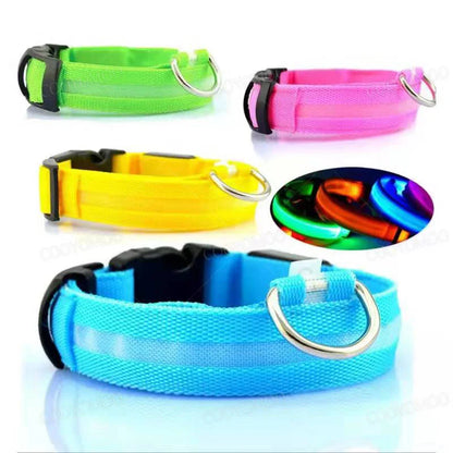 USB rechargeable LED dog collar glowing for nighttime safety and visibility