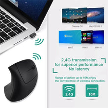 Computer Mouse