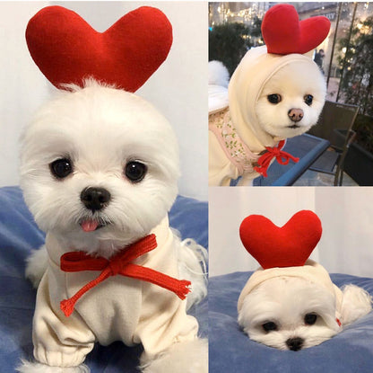 Warm pet outfit