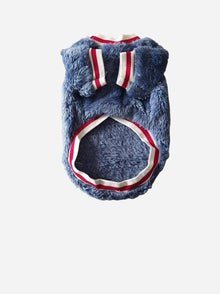 Winter pet outfit