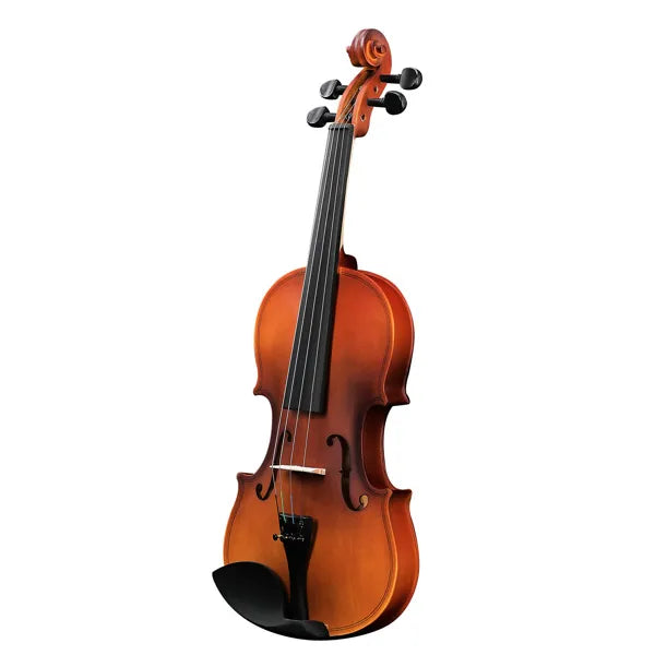 acoustic violin set