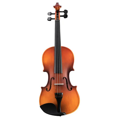 acoustic violin set