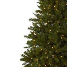 7.5ft Windermere Christmas Tree 