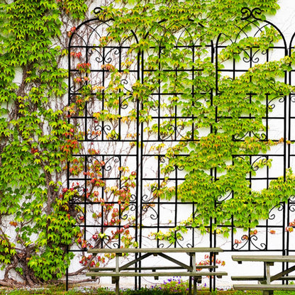2 Pack Metal Garden Trellis Rustproof Trellis For Climbing Plants