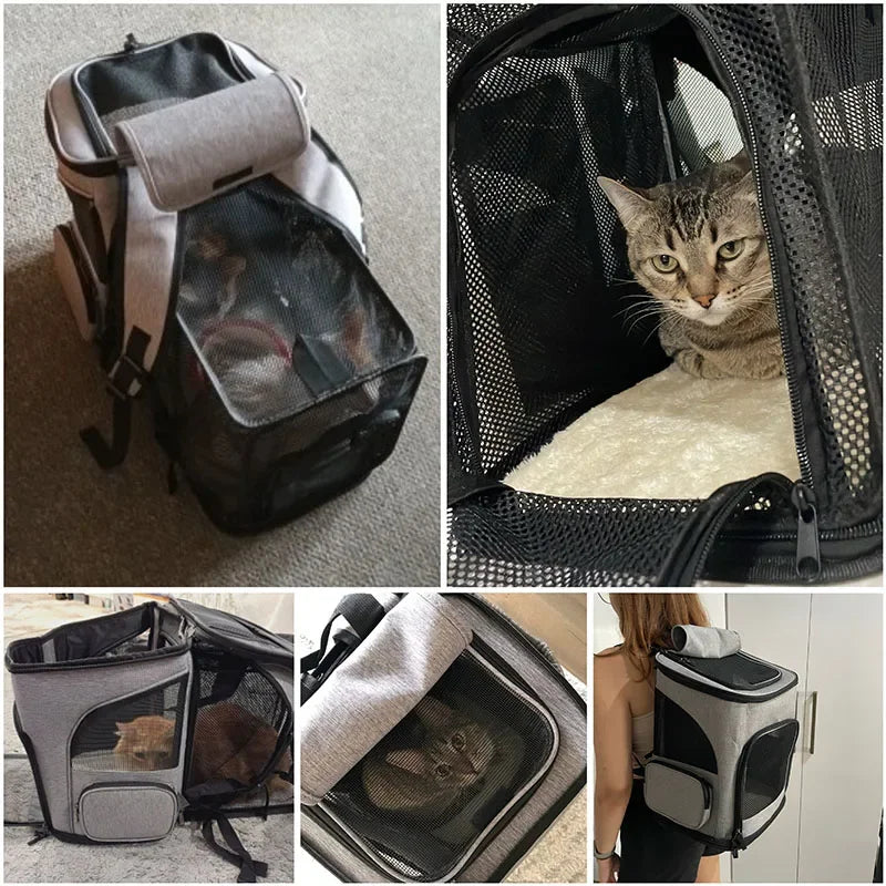 Expandable and breathable cat carrier backpack for travel with foldable design for small pets

