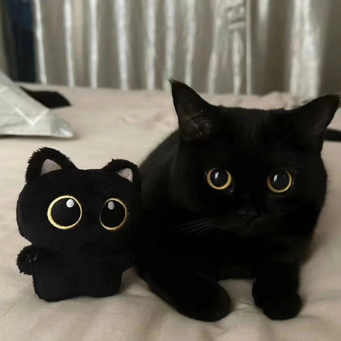 Soft black cat plush toy for kids, perfect for cuddling and gifting

