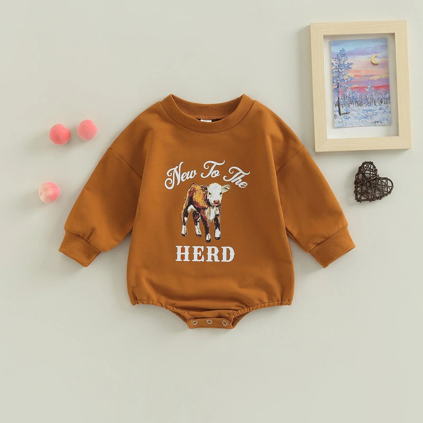 Infant long sleeve letter print bodysuit for baby boys and girls

