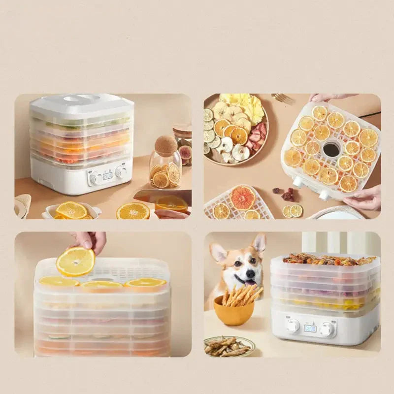 Smart food dehydrator machine with adjustable thermostat for drying fruits, vegetables, and jerky

