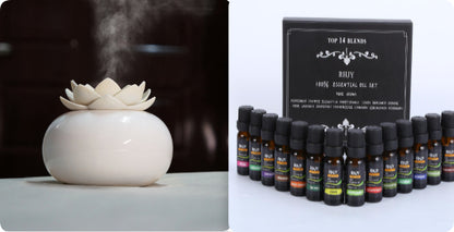 Lotus Humidifier