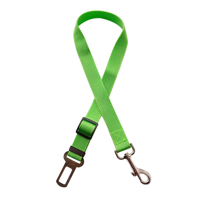 dog car leash