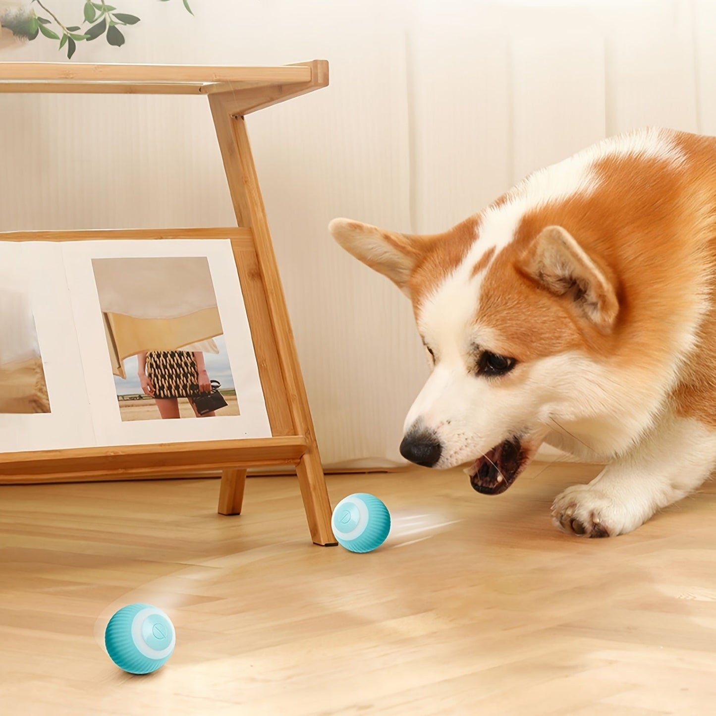 Cat Interactive Ball