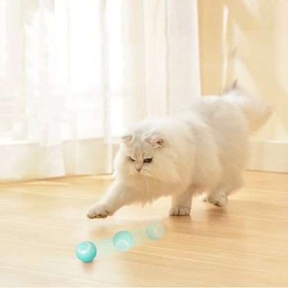 Cat Interactive Ball