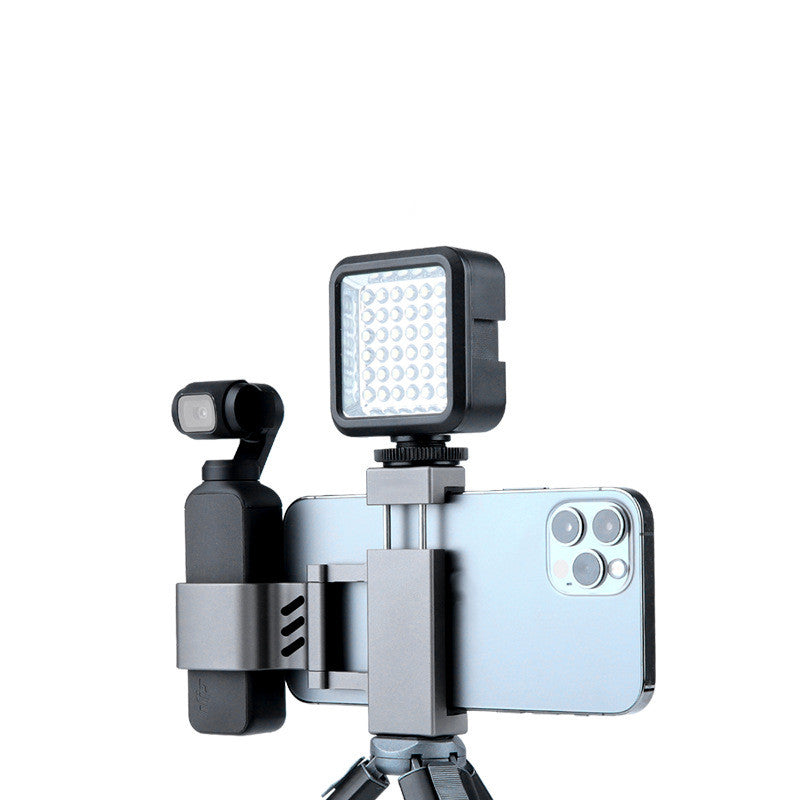 dual cold shoe mount