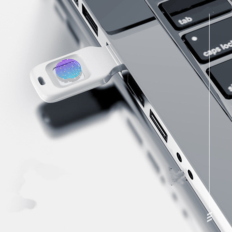 fingerprint usb drive