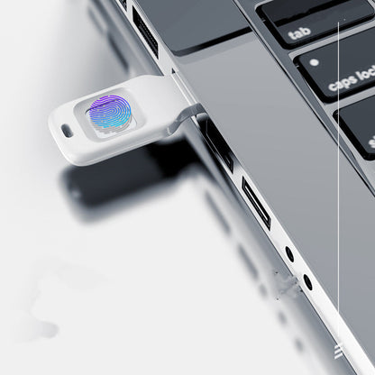 fingerprint usb drive
