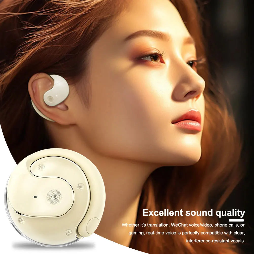 Wireless BT Translation Earbuds - Real-Time Language Translator for Travel