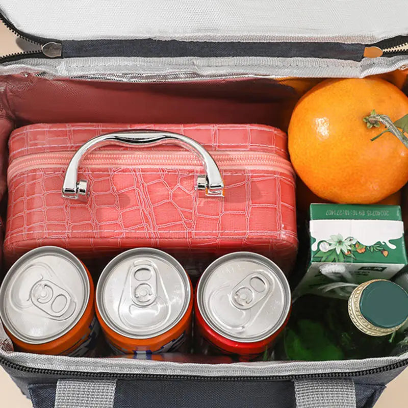 Double layer cooler lunch bag with shoulder strap for travel and picnic


