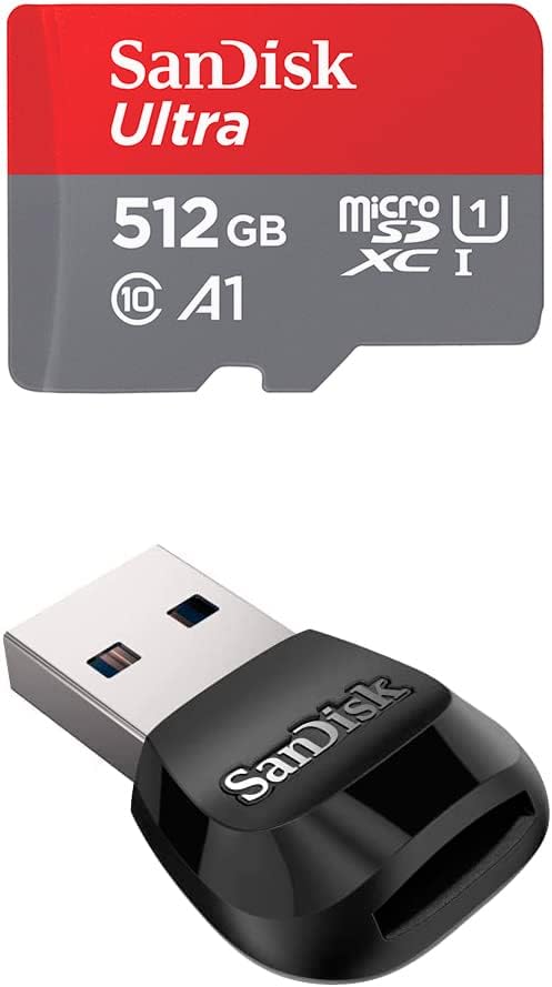 SanDisk 256GB microSD 