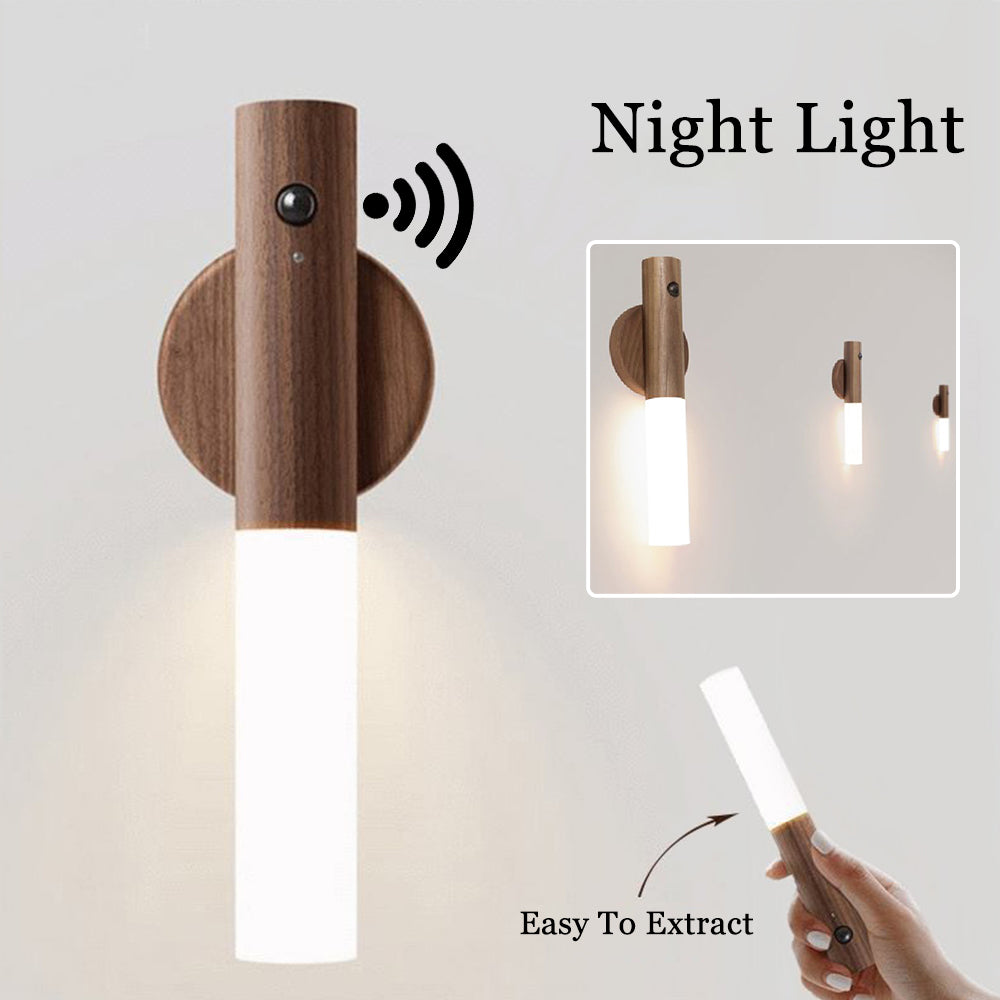 motion sensor light
