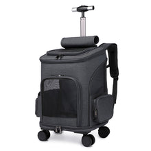 pet backpack with wheels
