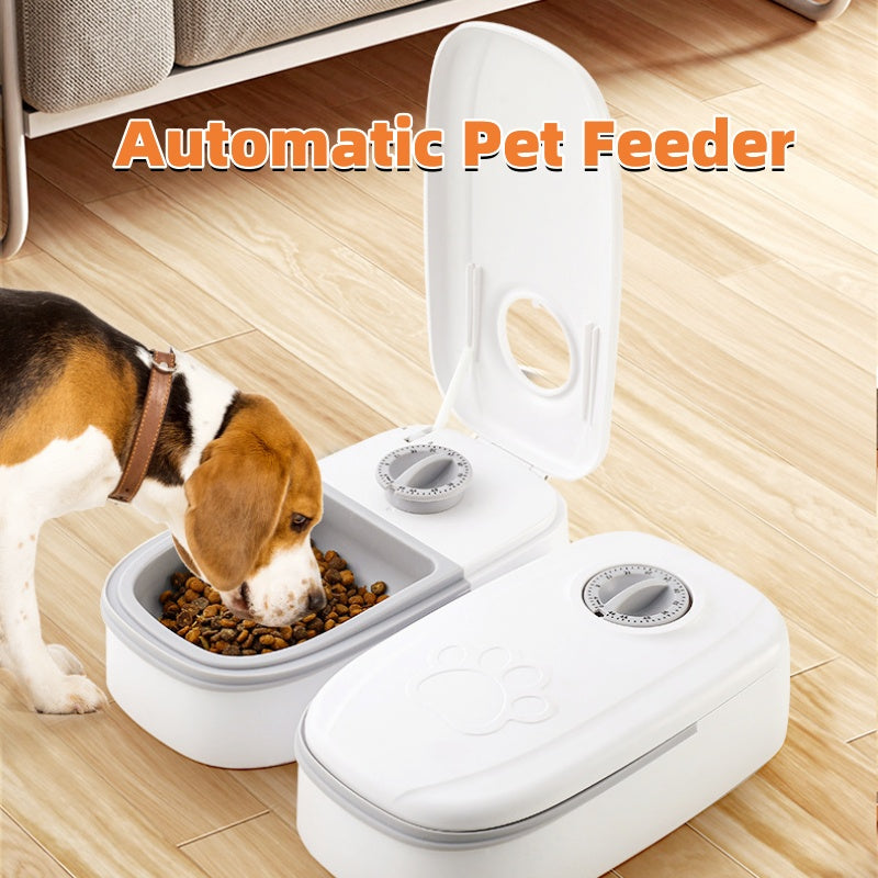 pet feeding bowl