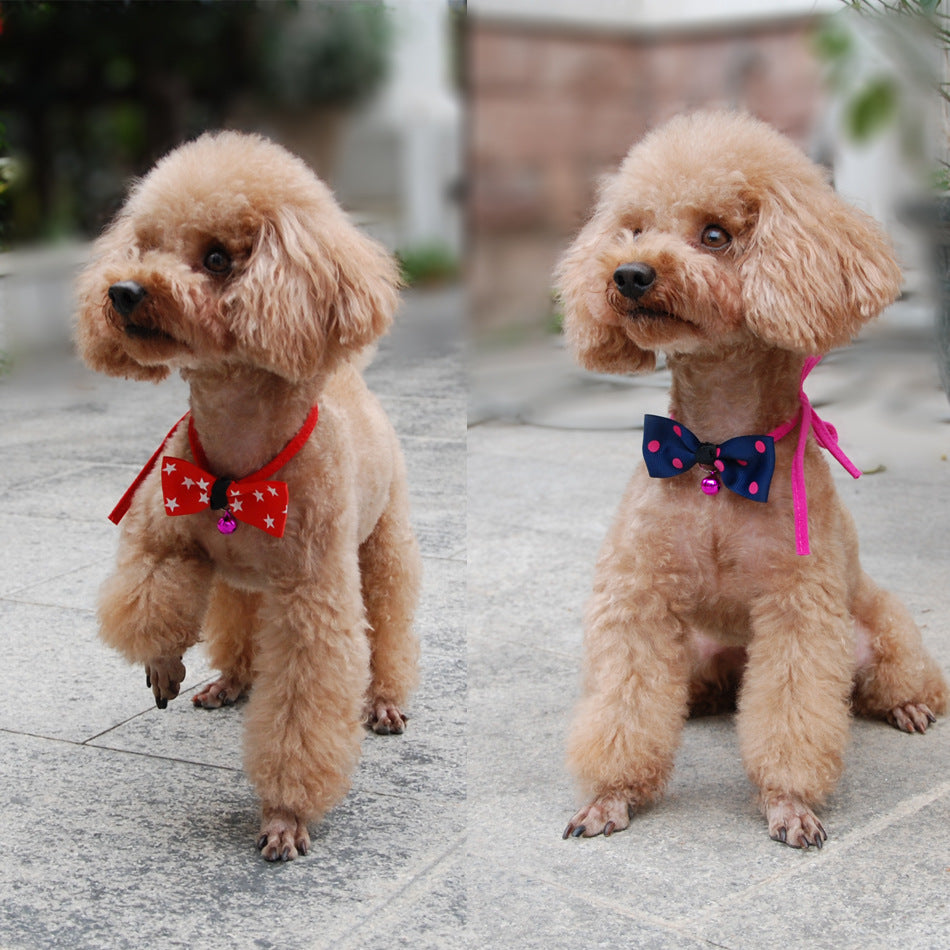 stylish pet collar
