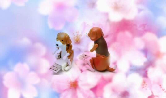 usb dancing dog