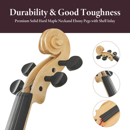 violin accessory set